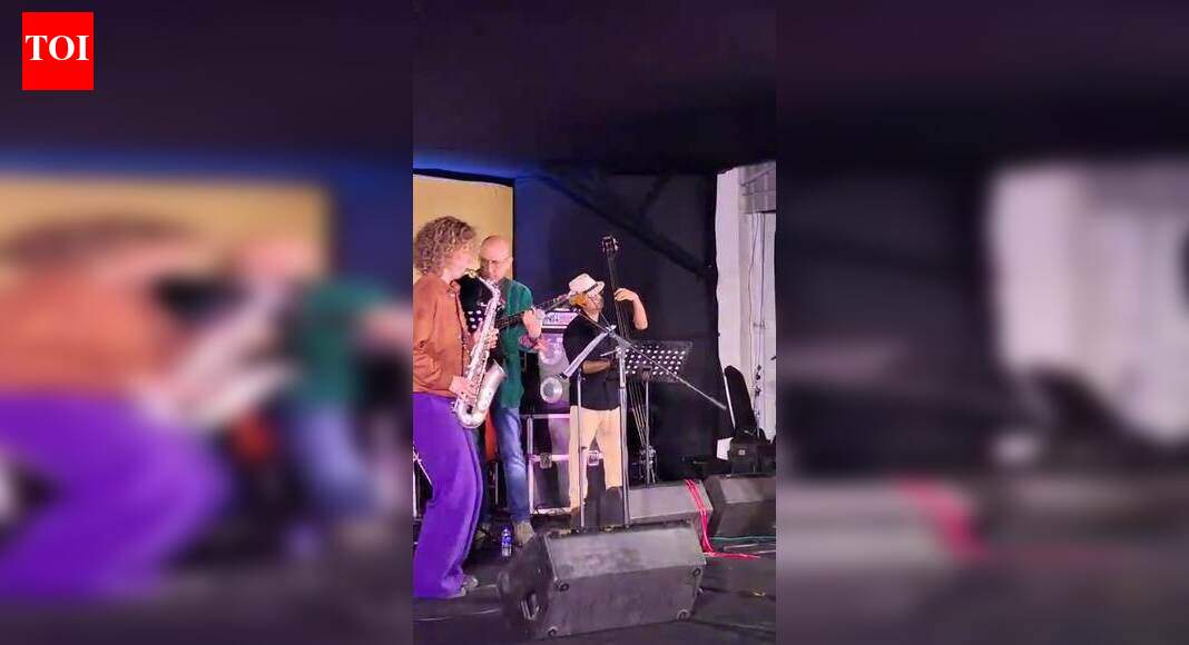 A night wrapped in melodies and magic