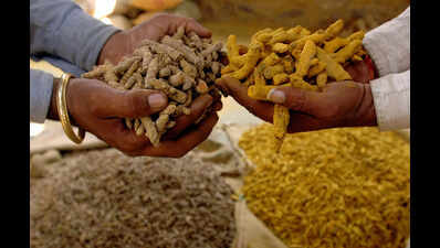 KSPCB clearance delay threatens rural start-ups, job opportunities under PMFME Scheme