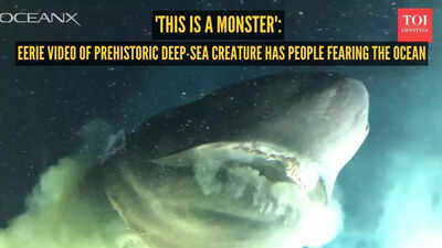'This is a monster': Eerie video of prehistoric deep-sea creature has people swearing off the ocean