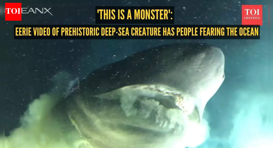'This is a monster': Eerie video of prehistoric deep-sea creature has people swearing off the ocean
