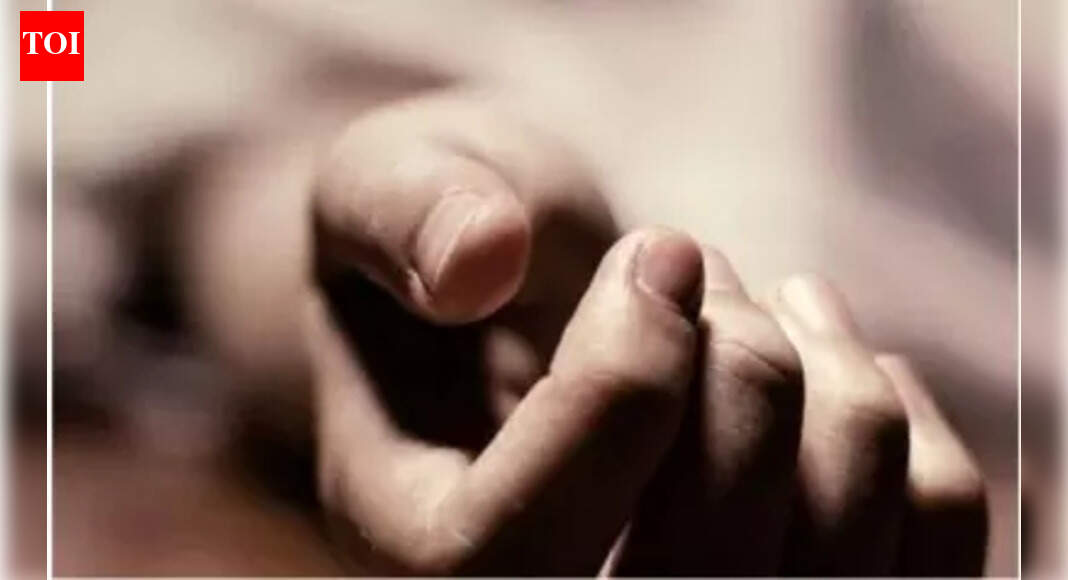 Chhattisgarh man shoots son dead during domestic fight, injures wife; hangs self later