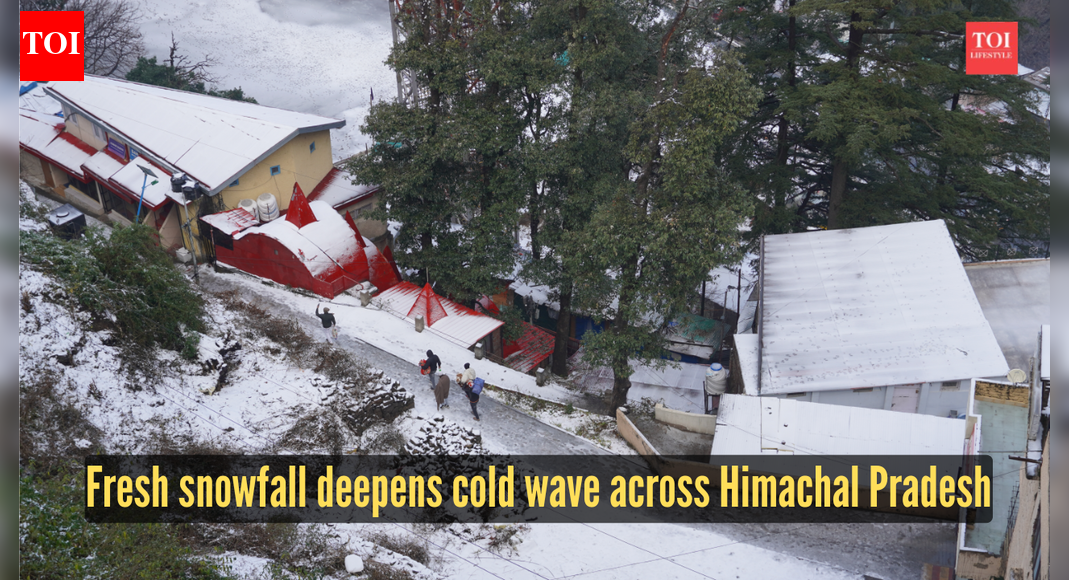 Cold wave tightens grip on Himachal Pradesh, fresh snowfall reported in higher areas