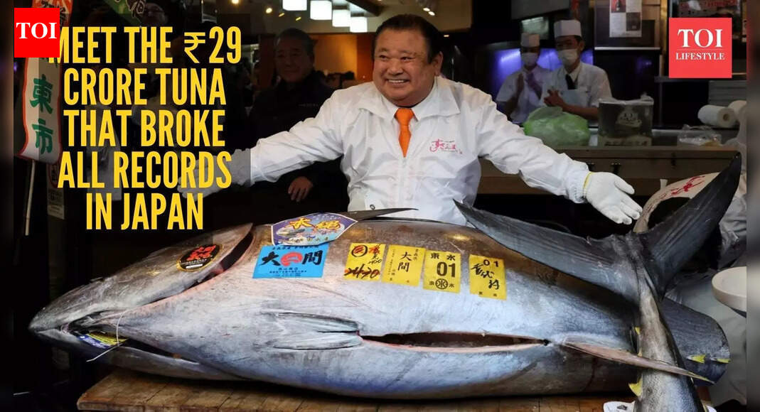 ₹29 crore for one fish? Japan just sold the world’s most expensive tuna