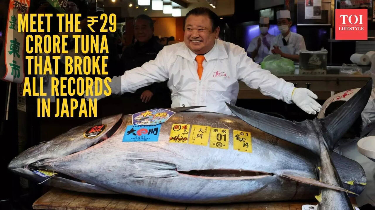 White Tuna Fish In Kannada Name