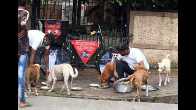 Dog feeding zones in M’luru to be decided soon