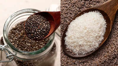 Isabgol vs chia seeds: Which everyday gut hero truly supports digestion and overall health