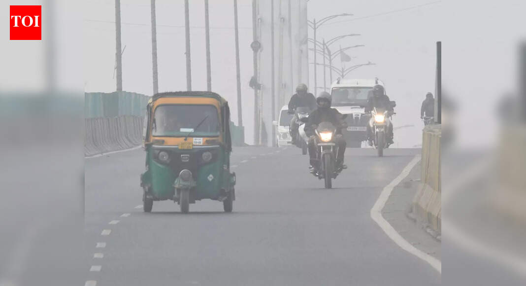 Sunny day brings brief relief from biting cold in city