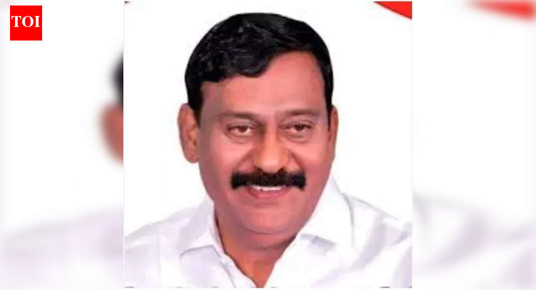 DMK MLA slaps party functionary in public | Chennai News - The Times of ...
