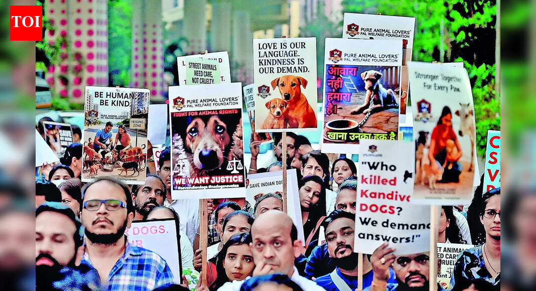 Mumbaikars for stray dogs: We have to be their voice