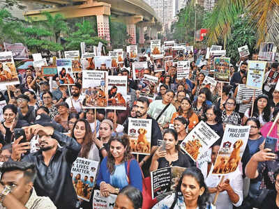 Mumbaikars for stray dogs: We have to be their voice