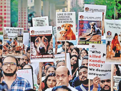 Mumbaikars for stray dogs: We have to be their voice