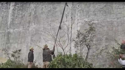 2 undertrials use fog cover to scale jail wall and flee