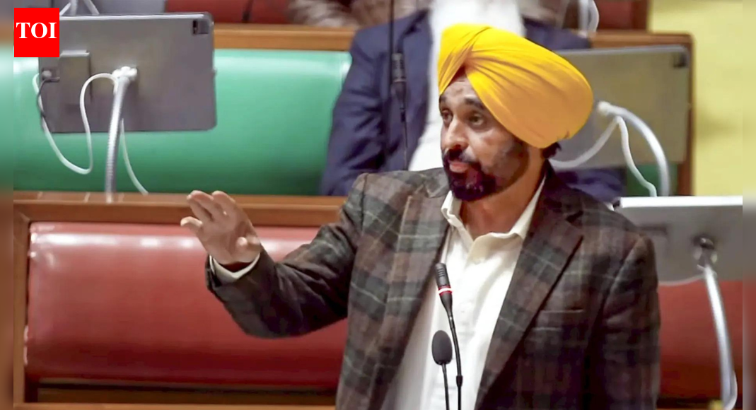 'Anti-Sikh remarks': Akal Takht summons Punjab CM; Mann to appear on Jan 15