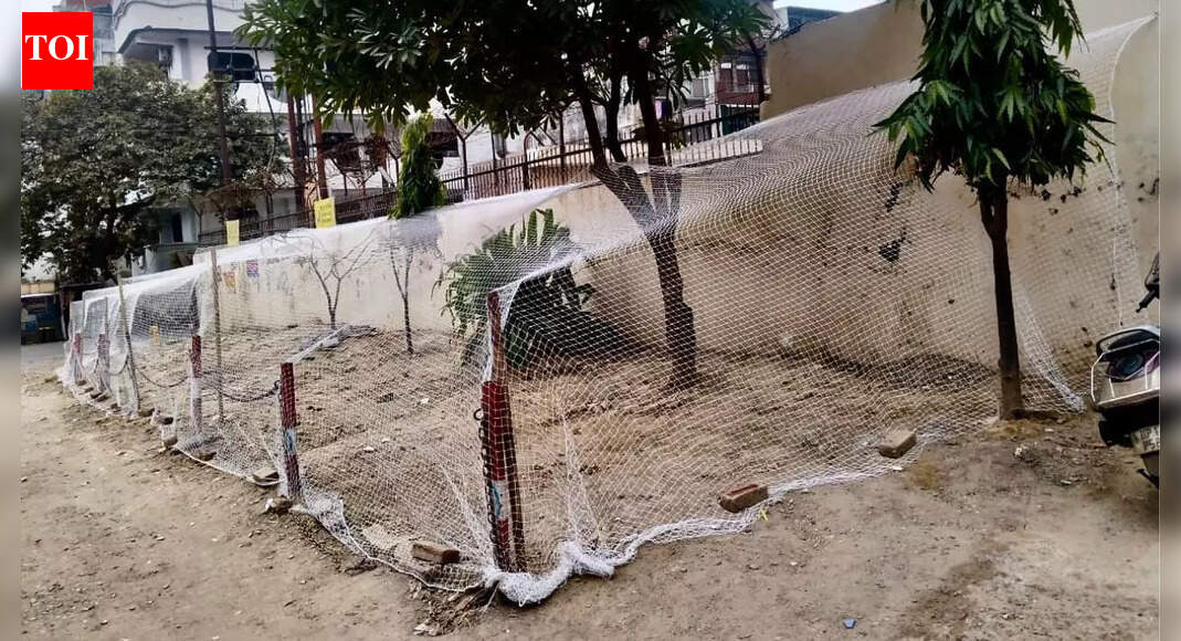 Ghaziabad society urges residents to stop pigeon feeding, cites health risks