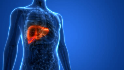 Liver cancer alert: High-fat diet can make liver cells cancerous, MIT study finds