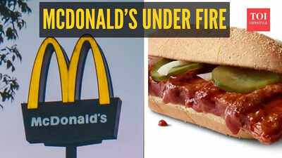 McDonald’s under fire: Lawsuit questions ingredients of famous McRib sandwich, outlet says…