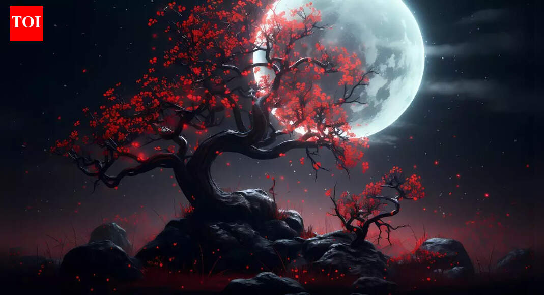 Purnima 2026: Date, Timings, Rituals and Significance