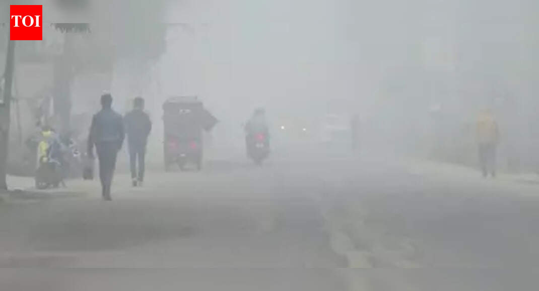 Dibrugarh schools to start 10 am amid severe cold wave, timing pushed back by an hour