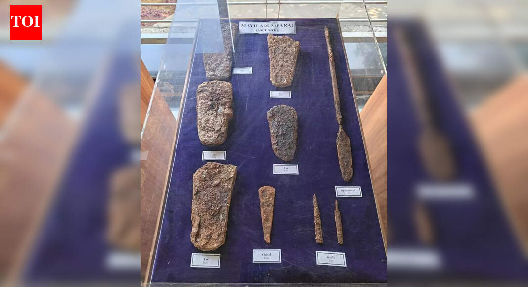 Scientific analysis great tool for studying heritage: ASI ADG