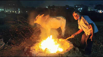 At 5.1°C, Jharsuguda temperature slips to 73-year low