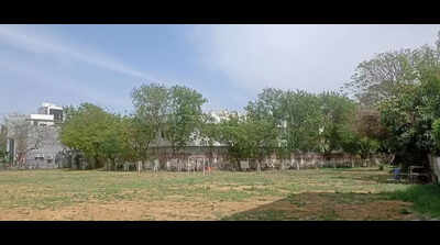 NGT seeks report on 4 encroached ponds in Gurgaon, cites SC order on restoration