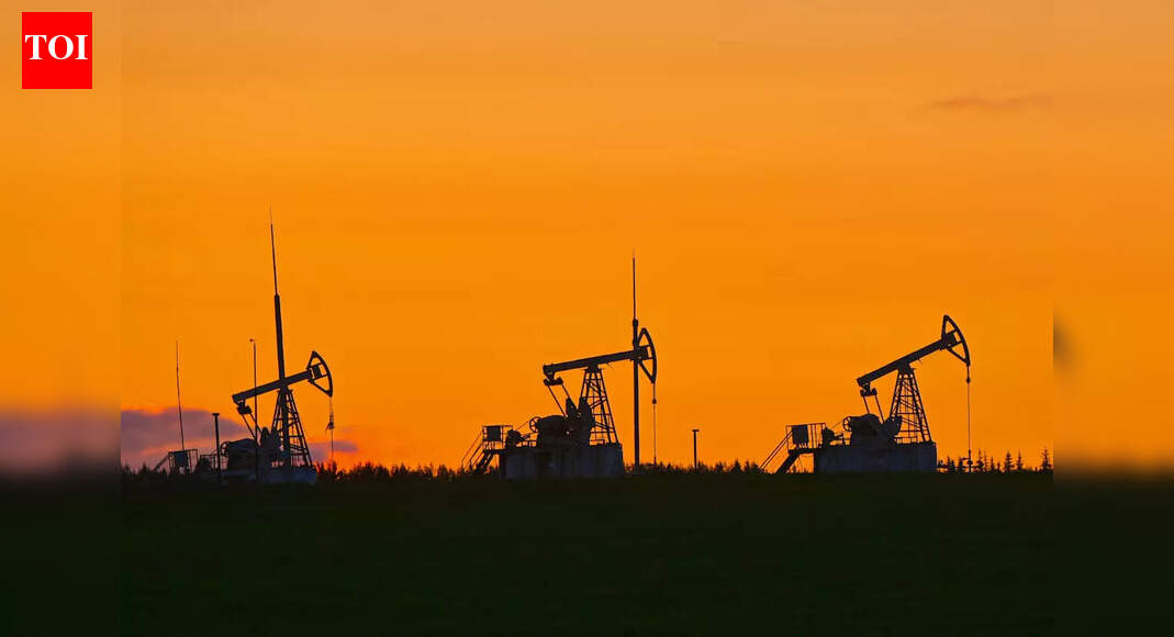 Stock fall not linked to reports of Russian oil imports: RIL