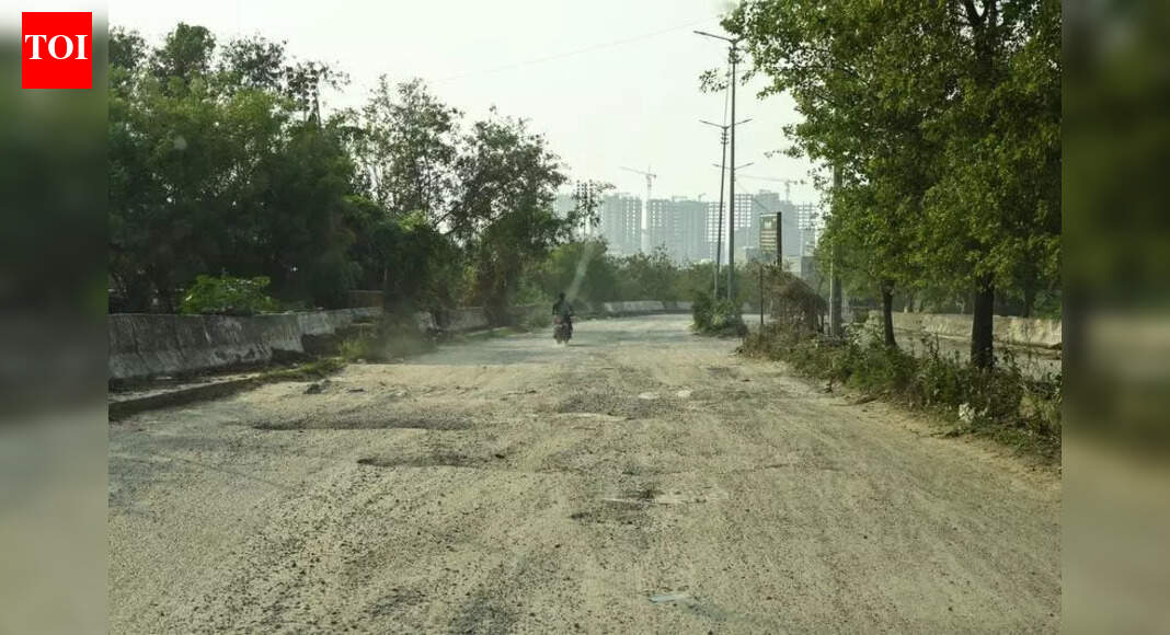 UP calls meet to decide on Noida's second expressway project