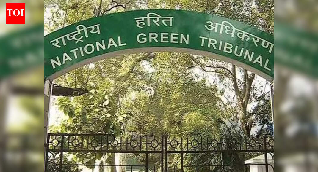 Ordnance unit to face criminal action for blast that killed 9: National green tribunal