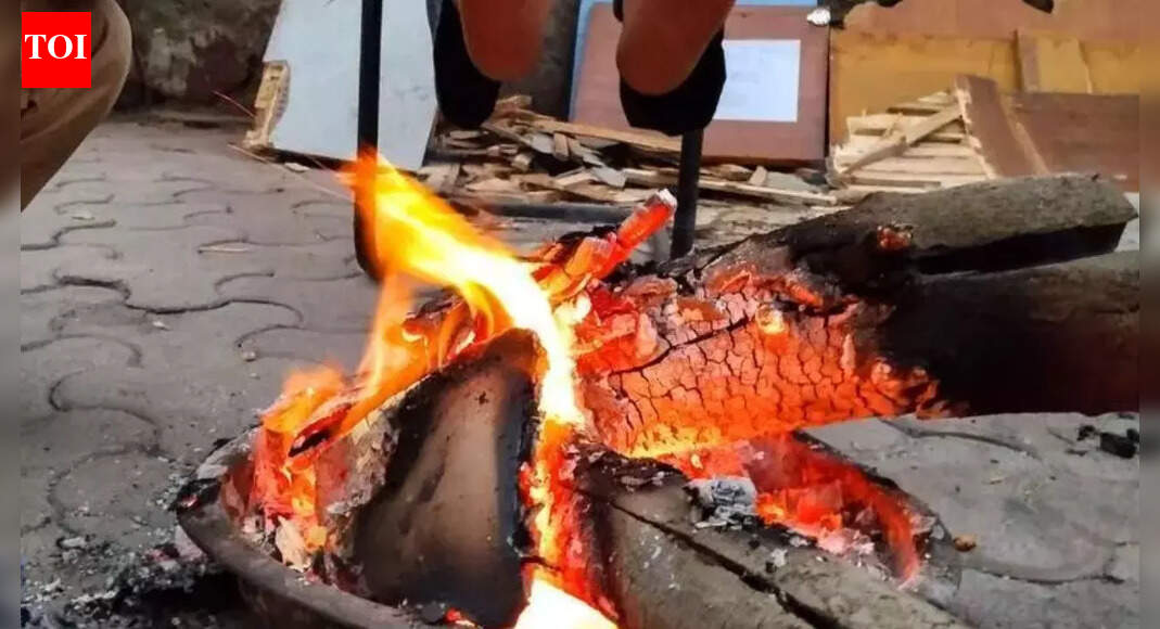 Chilly winds, poor air hit Delhiites; dense fog at Palam reduces visibility to 100 metres