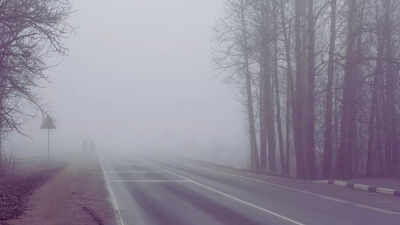 What's today's weather: Cold wave, dense fog and heavy rainfall to grip these Indian states