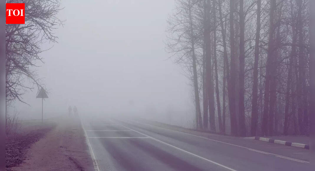 What's today's weather: Cold wave, dense fog and heavy rainfall to grip these Indian states