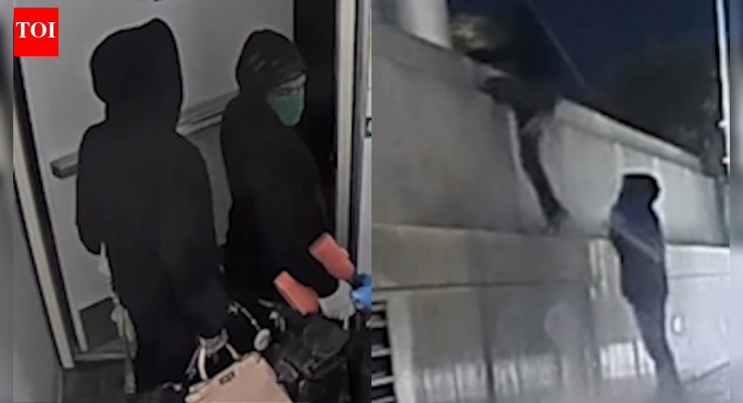 Busted! Luxury handbag thieves caught mid-heist in California; heavily armed cops swoop in — watch