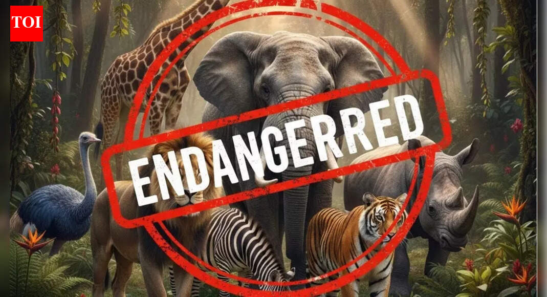 UAE warns of AED 2 million penalties under toughened plant and animal trade rules