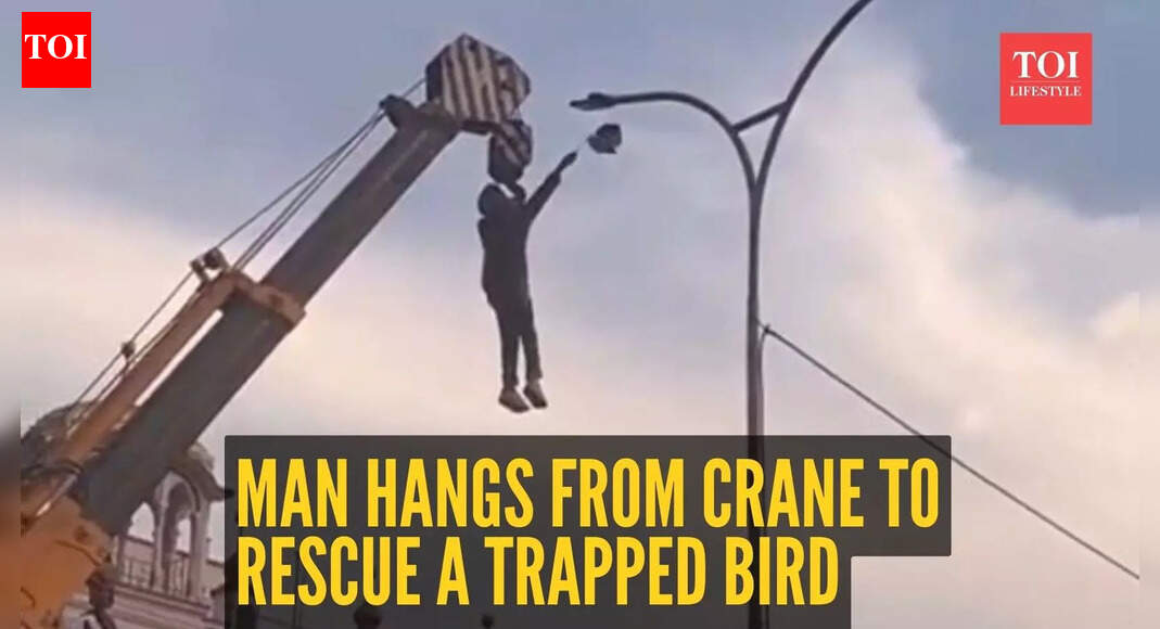 Viral video: Man risks everything, hangs from crane to rescue bird trapped high above wires