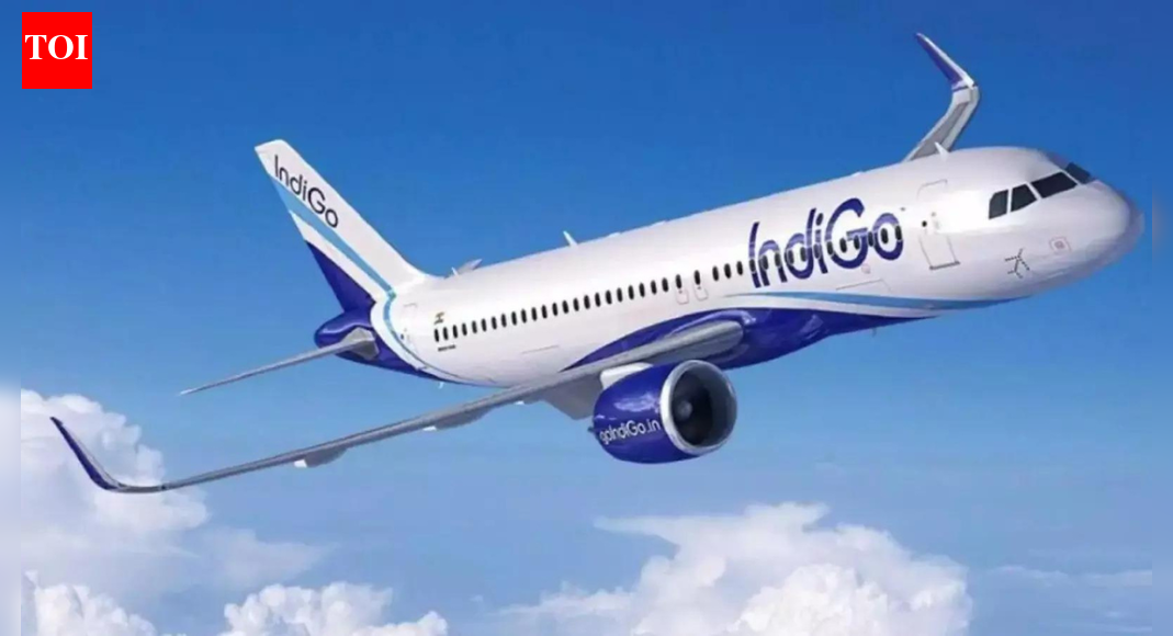 IndiGo disruptions: CCI seeks details from airline, DGCA; probe on dominant position underway