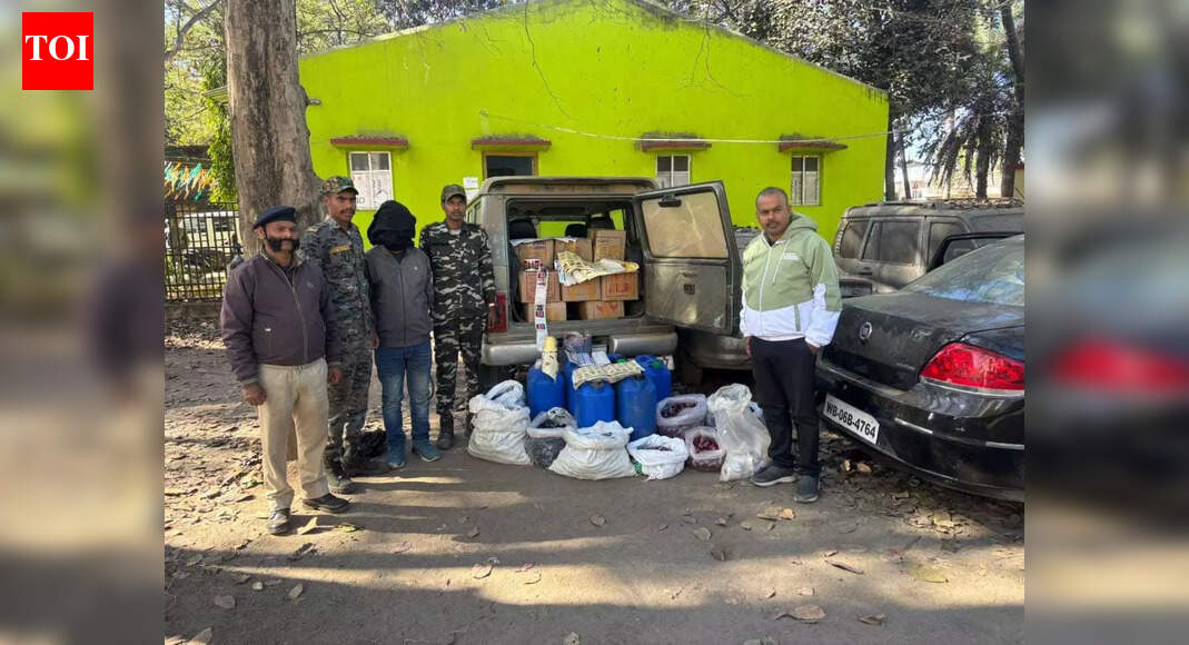 Illicit Liquor Seized in Hazaribag: 477 Liters of Foreign Liquor and Spirit Confiscated
