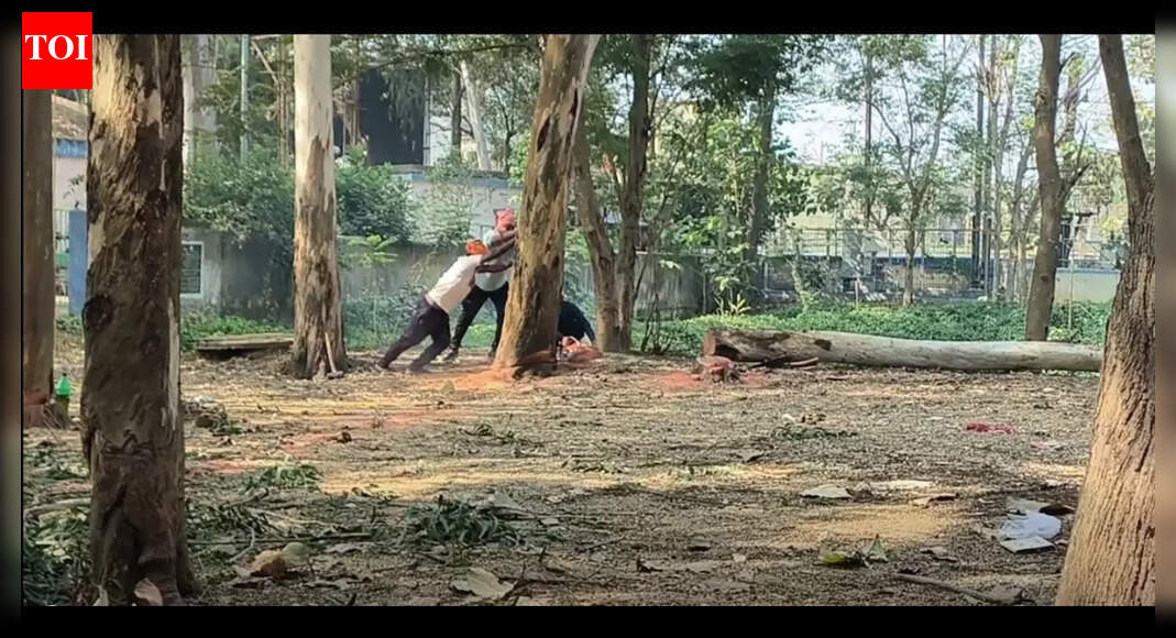 Tree felling controversy: Balasore collectorate construction sparks pollution norms debate