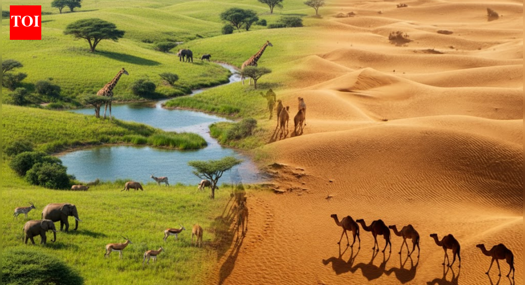 ‘Green Arabia’: Saudi Arabia’s vast deserts were once rivers, lakes and grasslands, studies show