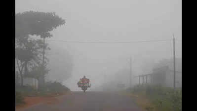 At 5°C, Chintapalle in ASR district records coldest day in Andhra Pradesh for the season