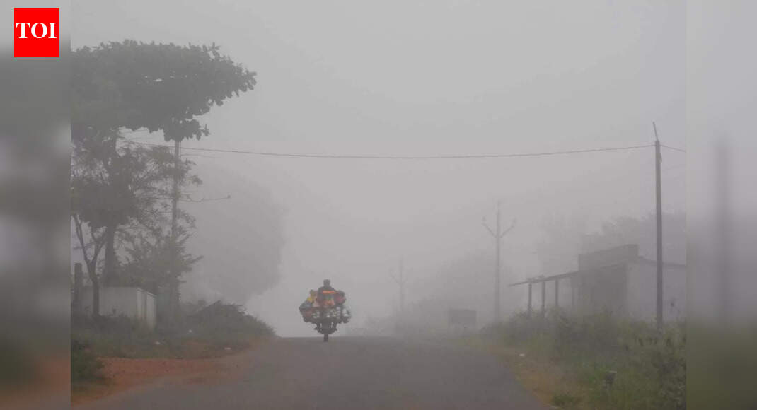 At 5°C, Chintapalle in ASR district records coldest day in Andhra Pradesh for the season
