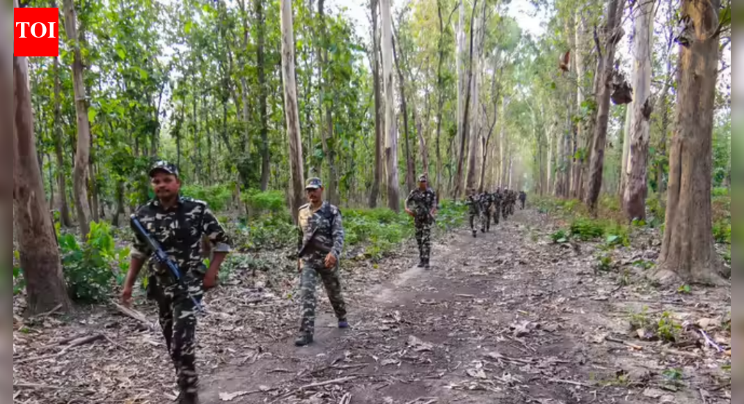 Rising illegal immigration poses serious social risks in India: Experts