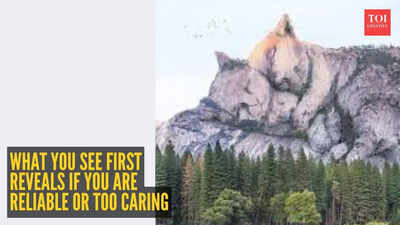 Optical illusion personality test: Cats or mountains? What you see first reveals if you are reliable or too caring for others