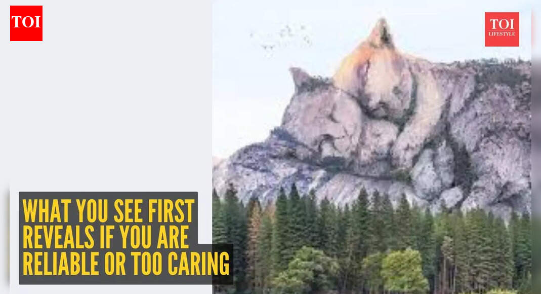 Optical illusion personality test: Cats or mountains? What you see first reveals if you are reliable or too caring for others