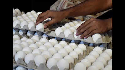 Egg price is witnessing a free fall across the state