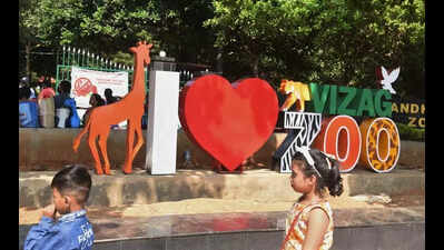Asiatic lioness dies at animal rescue centre at Vizag zoo