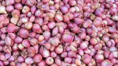 No new permit for Indian onion imports