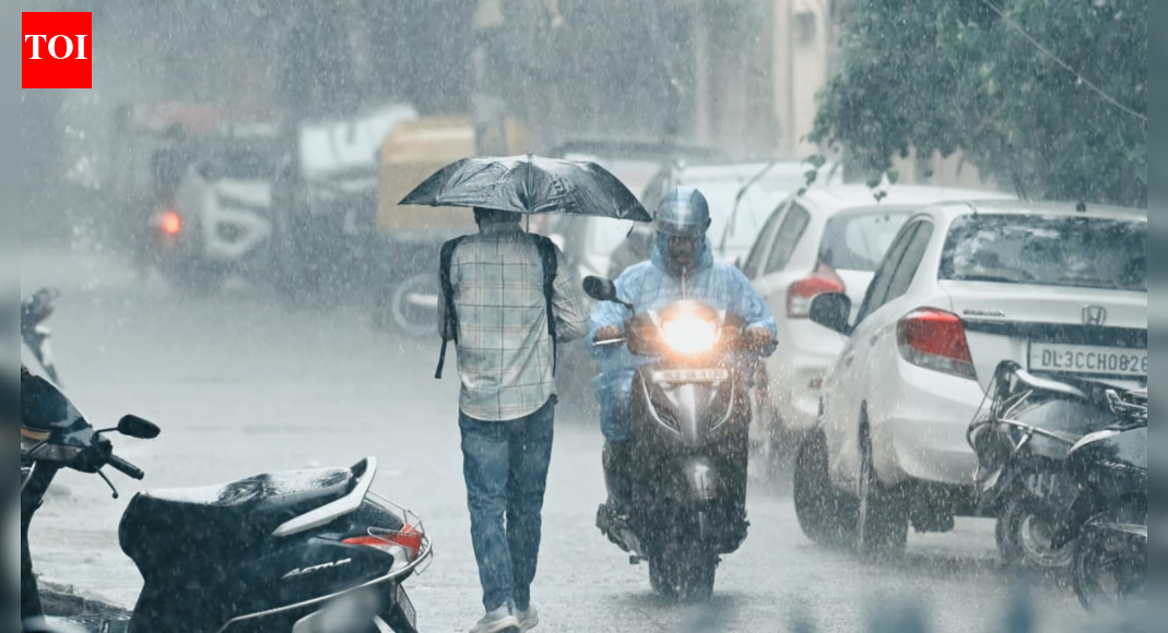 Unexpected early morning rain drench Delhi-NCR, intensify cold wave; AQI remains 'very poor' at 321