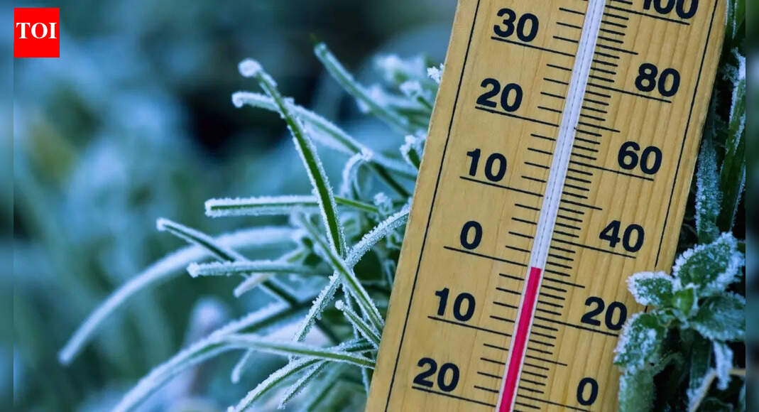 What’s today’s weather: IMD forecast cold wave and fog for Delhi-NCR, and heavy rain alert for Tamil Nadu and Kerala