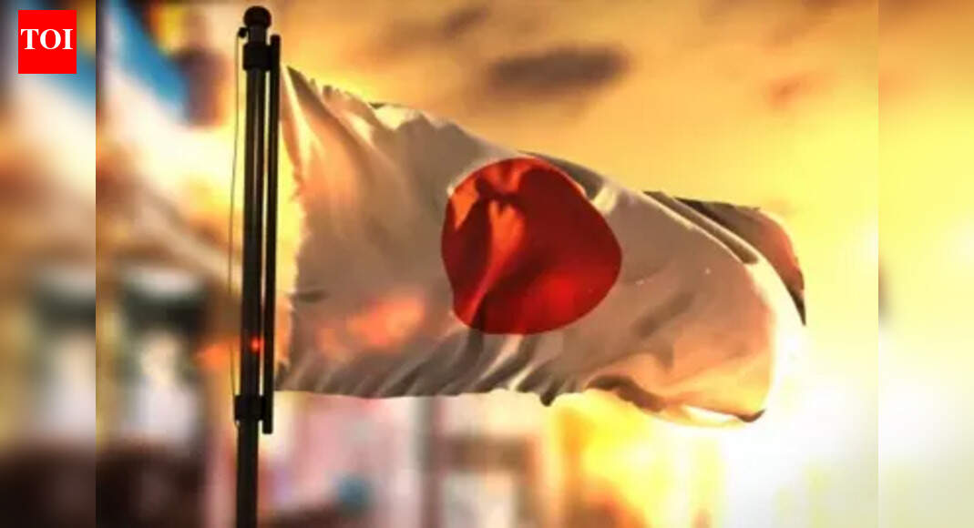 Japan calls for 'smooth' trade after reports China delaying imports