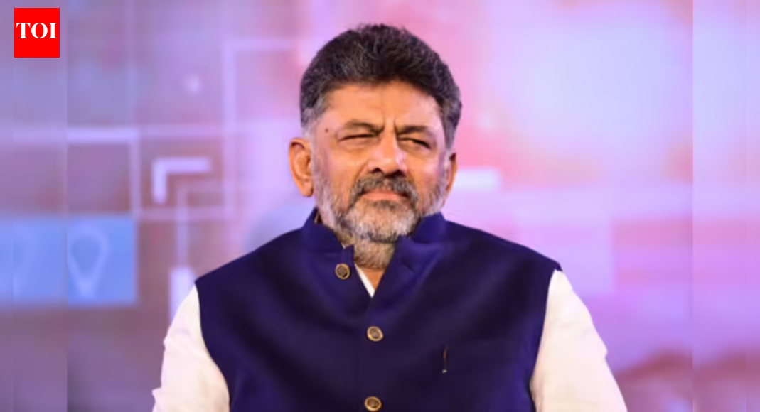 'Don’t have any option': DK Shivakumar after being named senior Congress observer for Assam polls